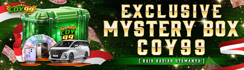 EXCLUSIVE MISTERY BOX