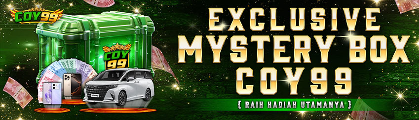 EXCLUSIVE MISTERY BOX