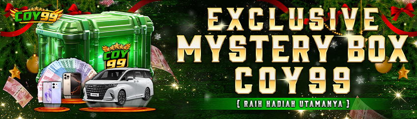 EXCLUSIVE MISTERY BOX