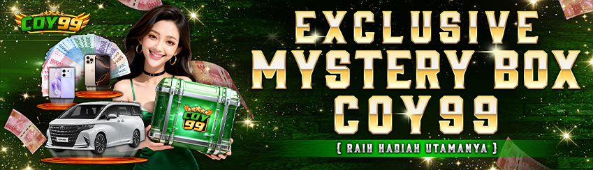 EXCLUSIVE MISTERY BOX