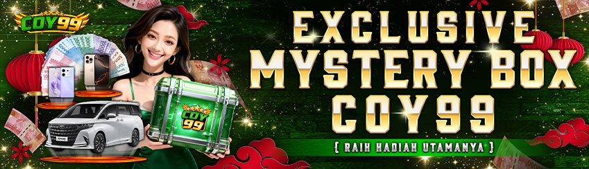 EXCLUSIVE MISTERY BOX