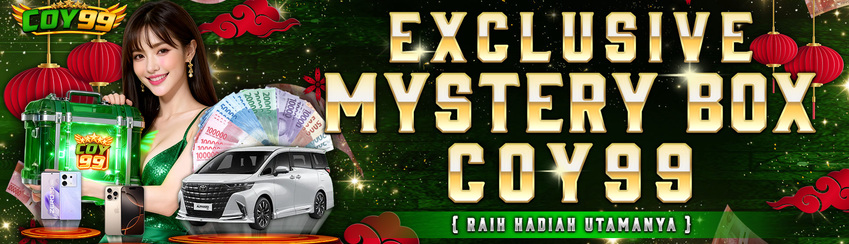 EXCLUSIVE MISTERY BOX